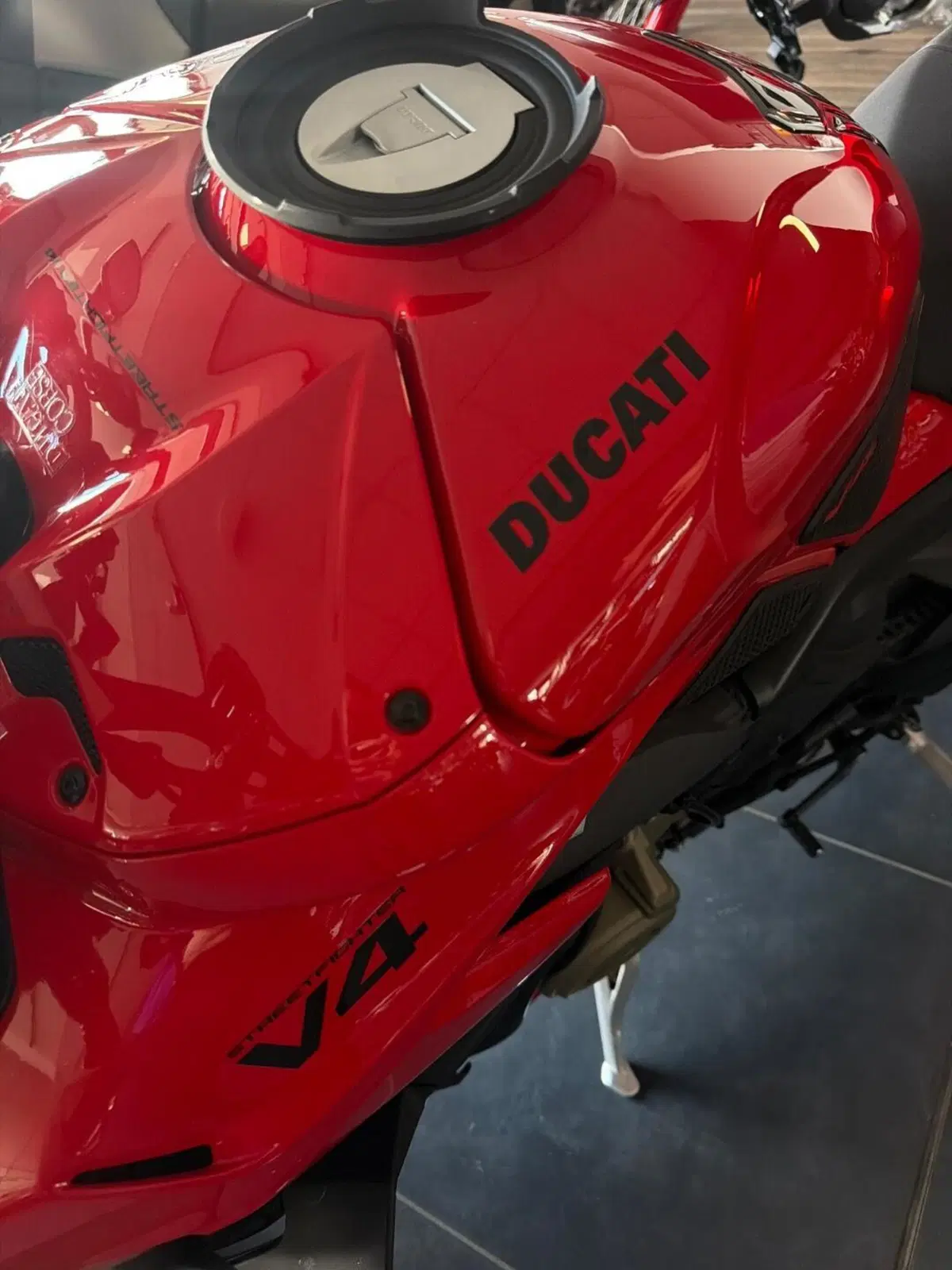 Ducati Streetfighter V4 (2023 - 24) (9)