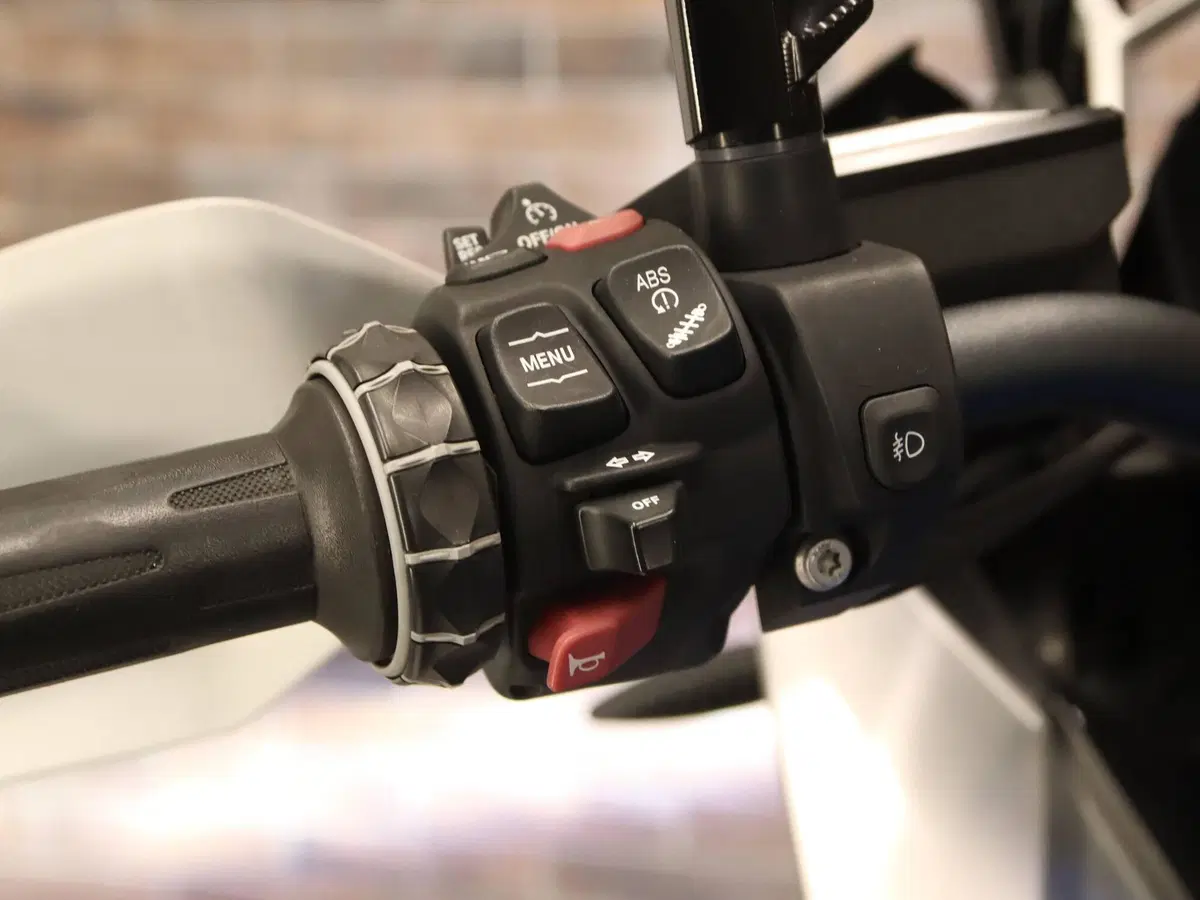 Bmw R 1250 GS (2019 - 20) (17)