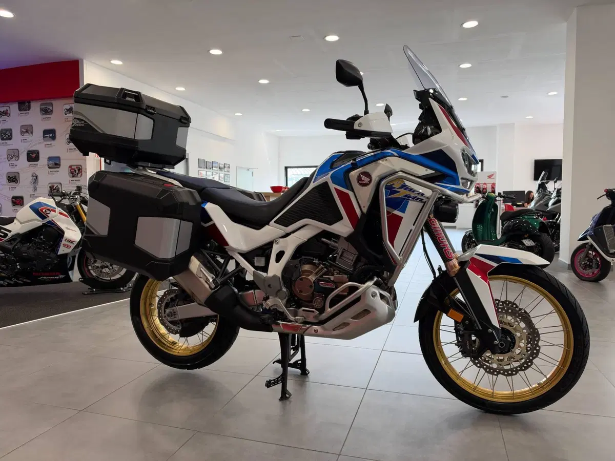 Honda Africa Twin CRF 1100L Adventure Sports Travel Edition DCT (2020 - 21) (7)