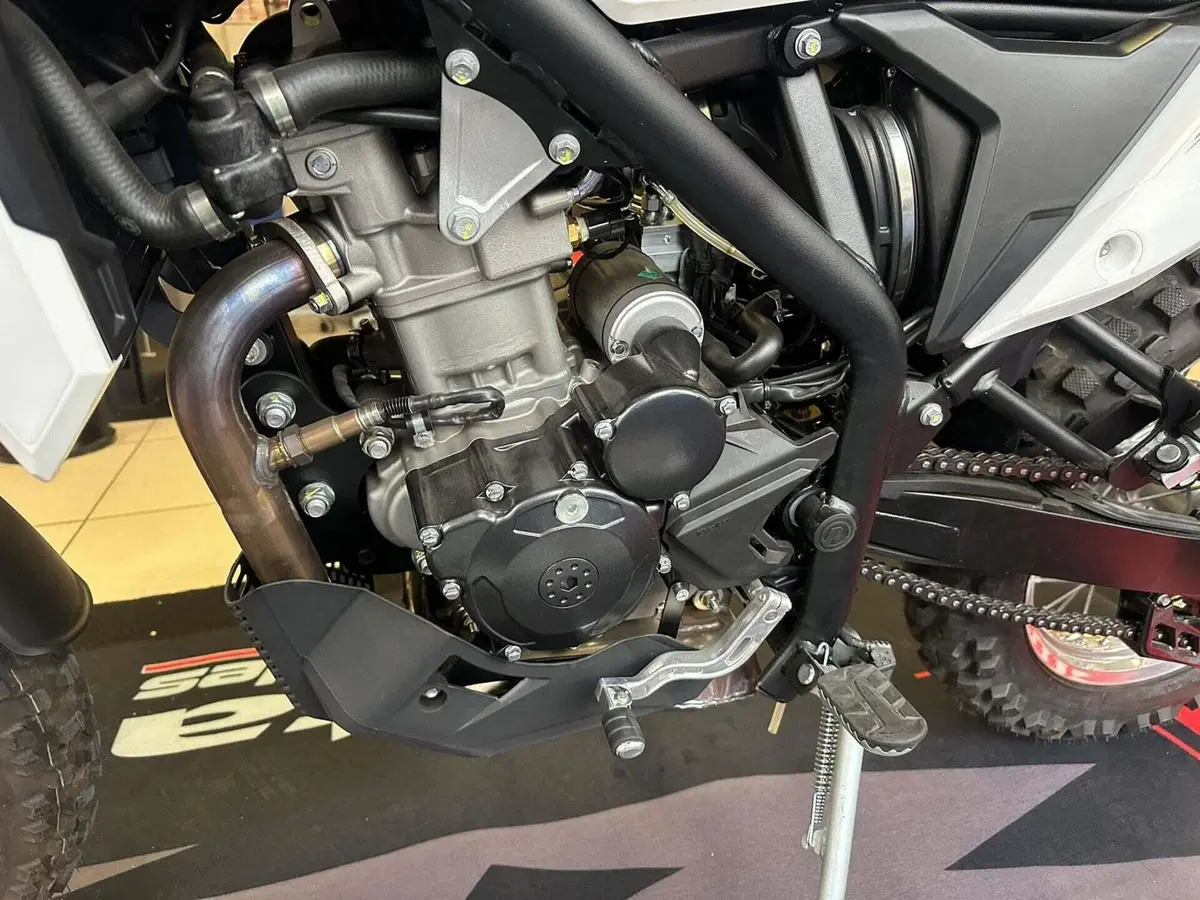 Betamotor Alp 4.0 (2024 - 26) (13)