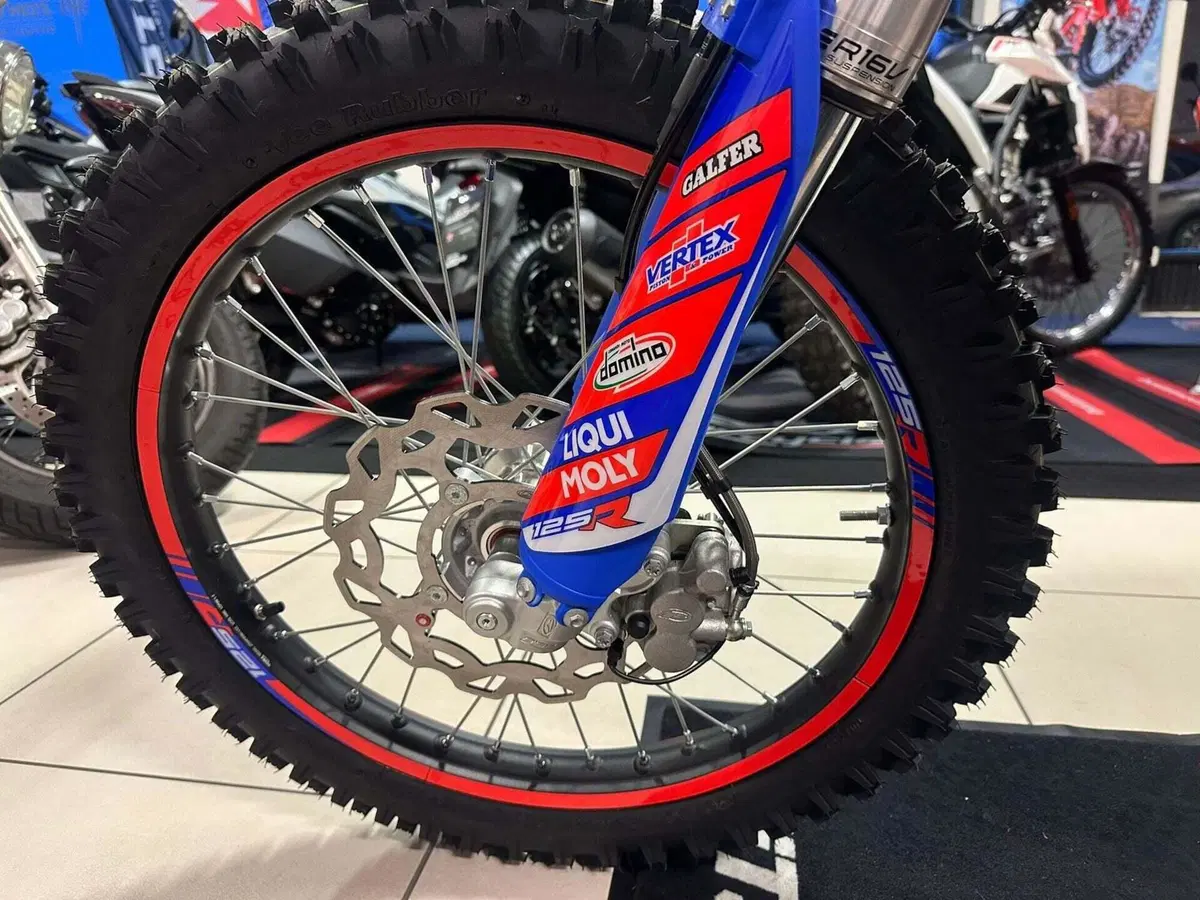 Betamotor RR 125 4T Enduro R (2024 - 26) (15)