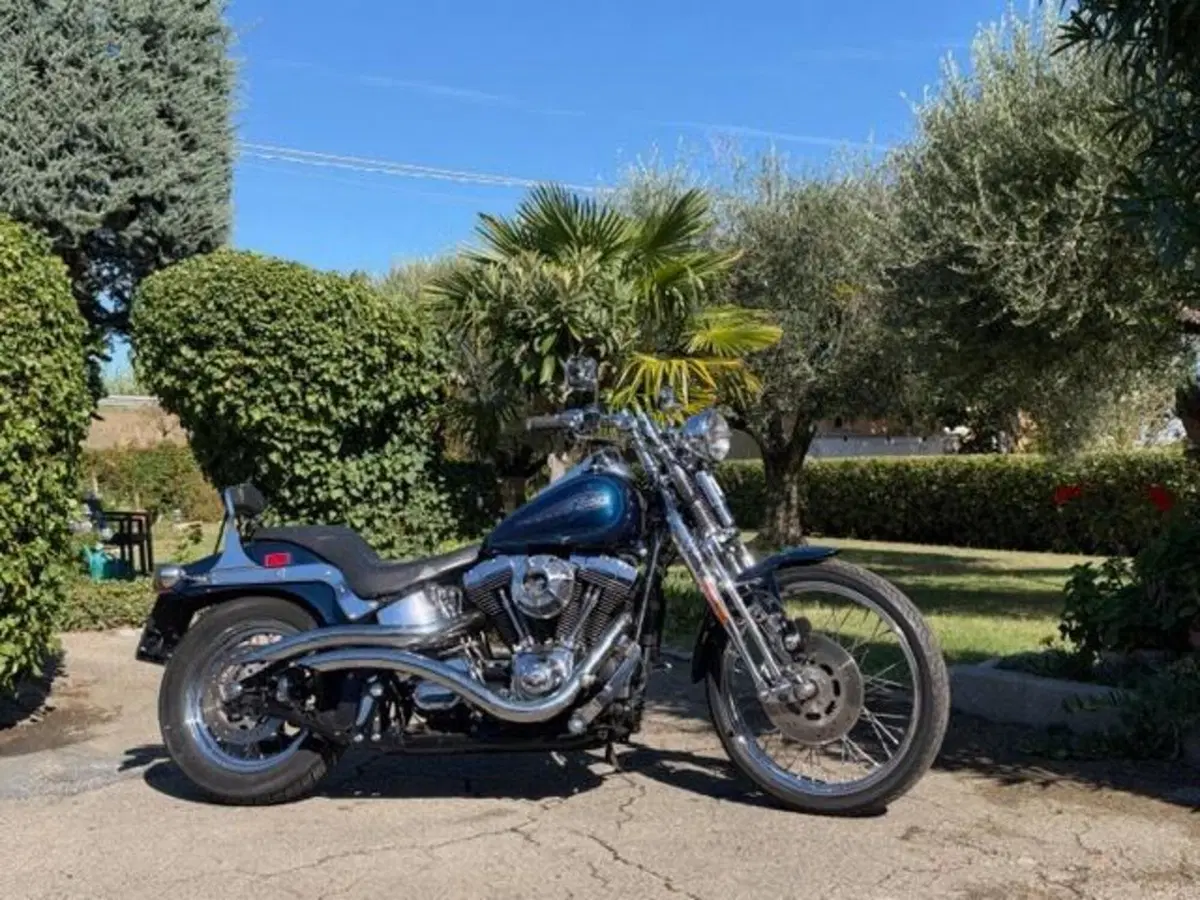 Harley-Davidson 1450 Springer (2001 - 03) - FXSTS
