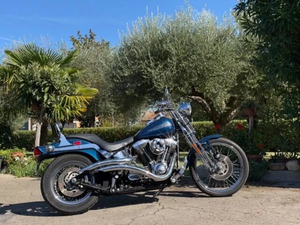 Harley-Davidson 1450 Springer (2001 - 03) - FXSTS (2)