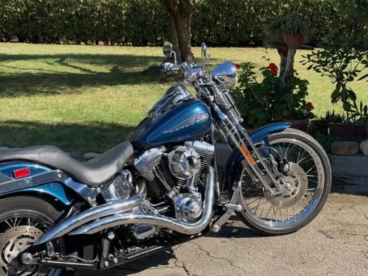 Harley-Davidson 1450 Springer (2001 - 03) - FXSTS (3)