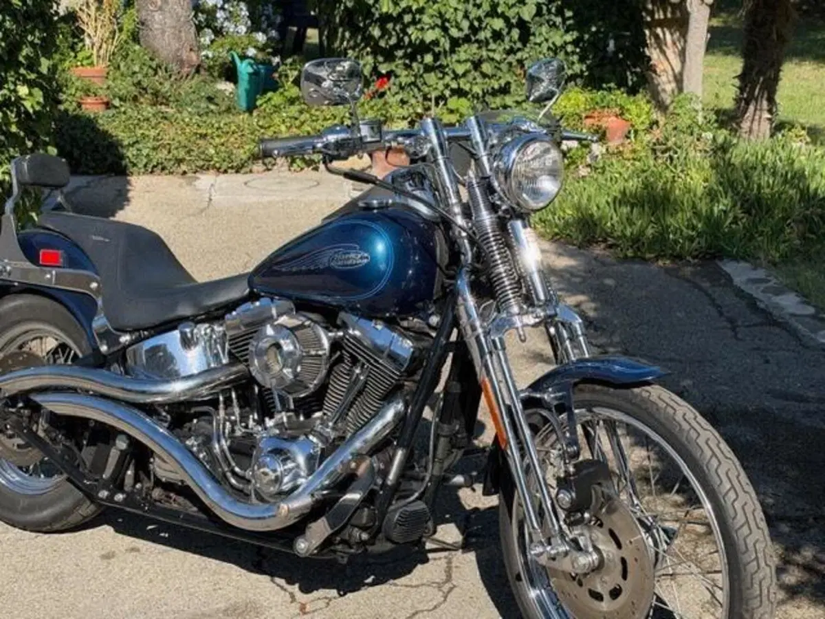 Harley-Davidson 1450 Springer (2001 - 03) - FXSTS (4)