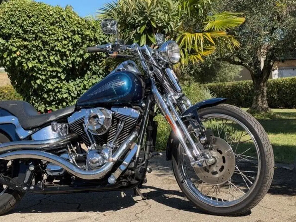 Harley-Davidson 1450 Springer (2001 - 03) - FXSTS (5)