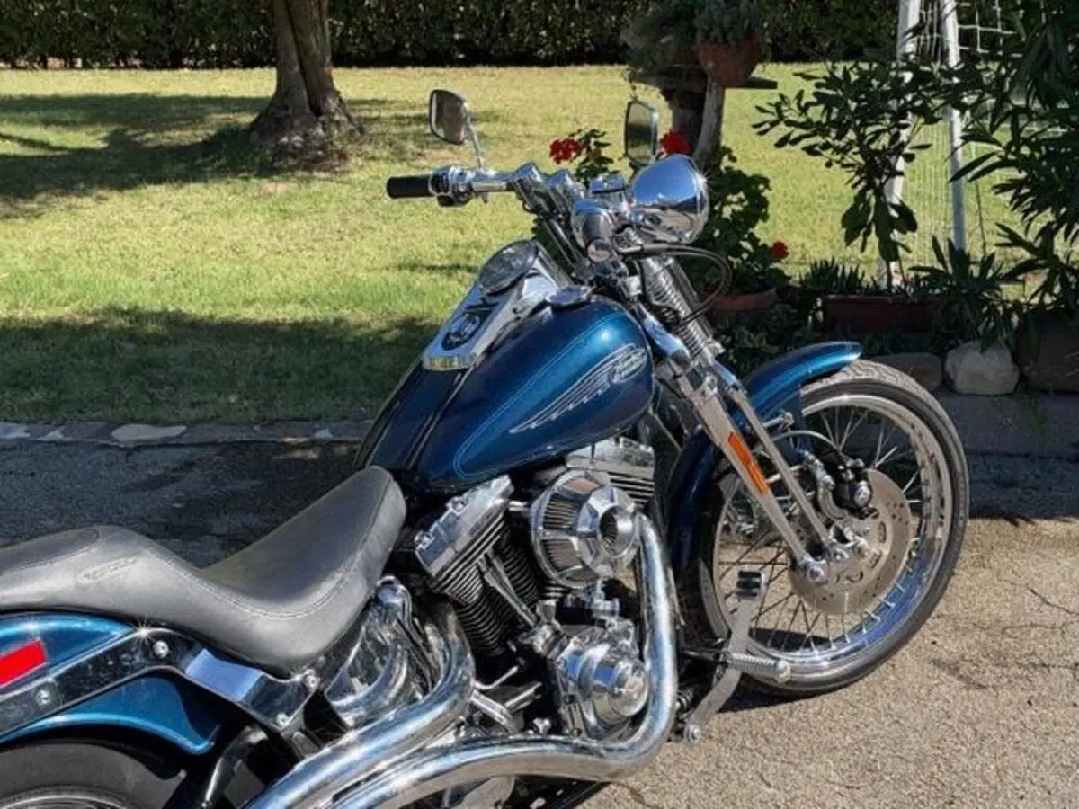 Harley-Davidson 1450 Springer (2001 - 03) - FXSTS (6)