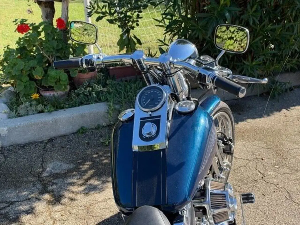 Harley-Davidson 1450 Springer (2001 - 03) - FXSTS (8)