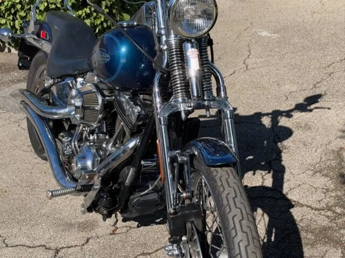 Harley-Davidson 1450 Springer (2001 - 03) - FXSTS (10)