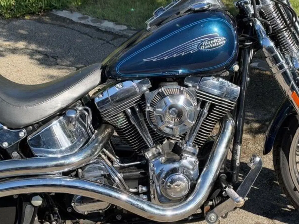 Harley-Davidson 1450 Springer (2001 - 03) - FXSTS (11)