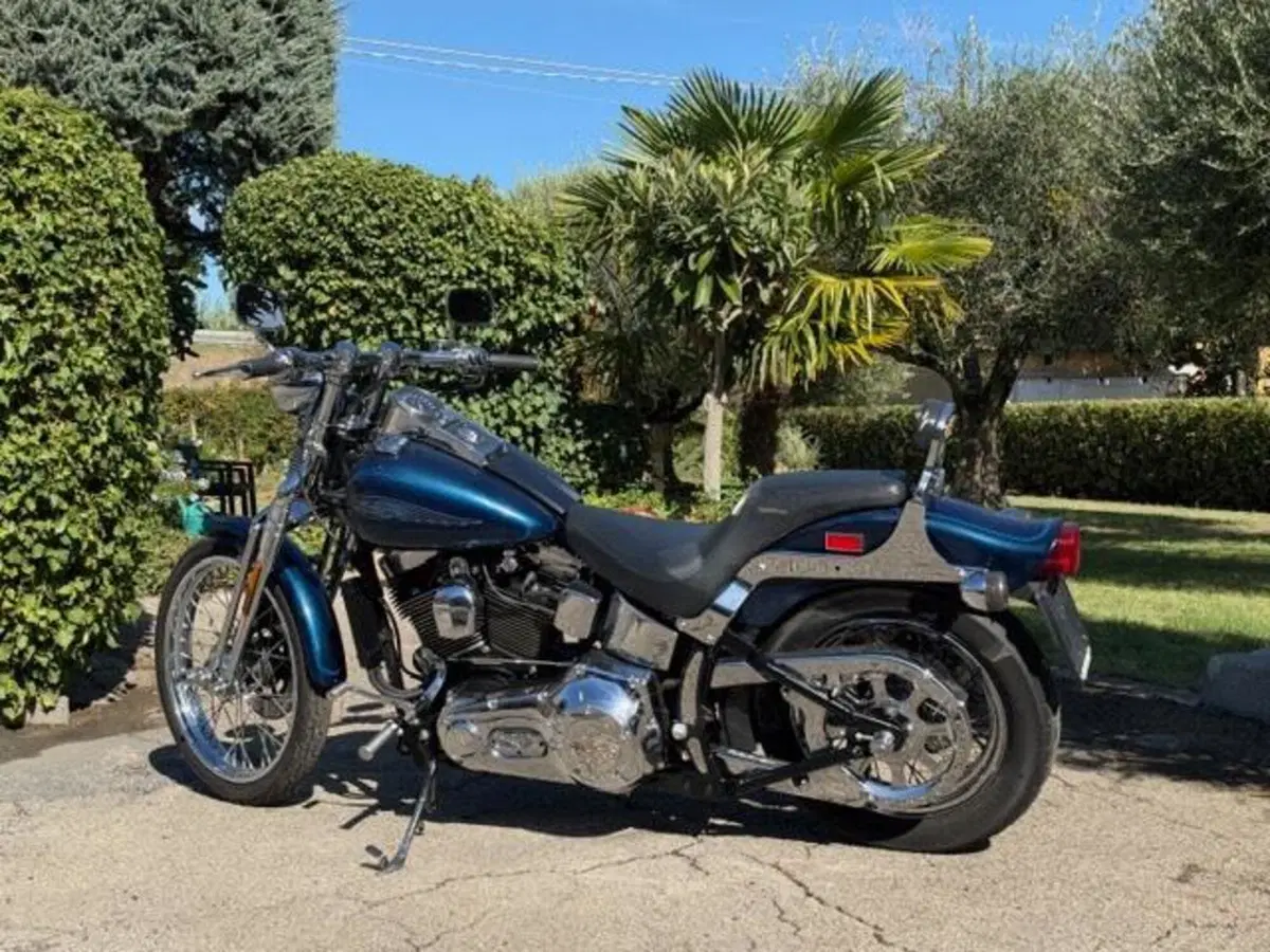 Harley-Davidson 1450 Springer (2001 - 03) - FXSTS (13)