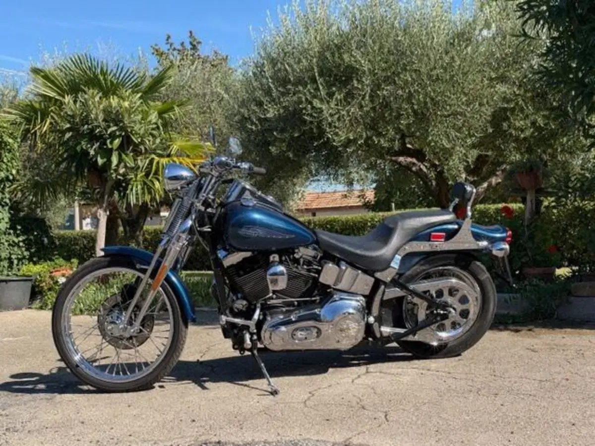 Harley-Davidson 1450 Springer (2001 - 03) - FXSTS (14)