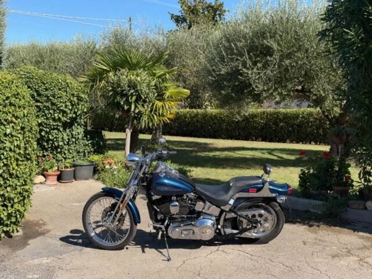 Harley-Davidson 1450 Springer (2001 - 03) - FXSTS (15)