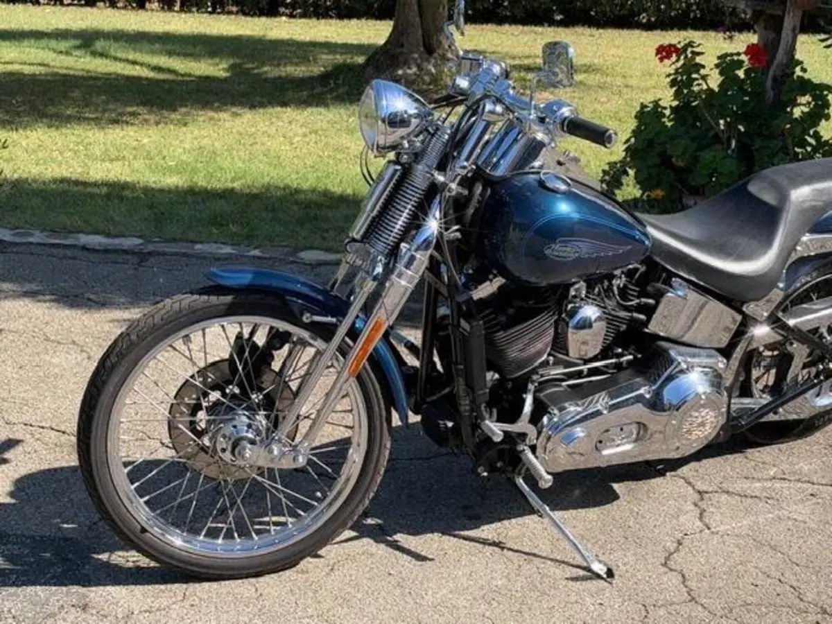 Harley-Davidson 1450 Springer (2001 - 03) - FXSTS (18)