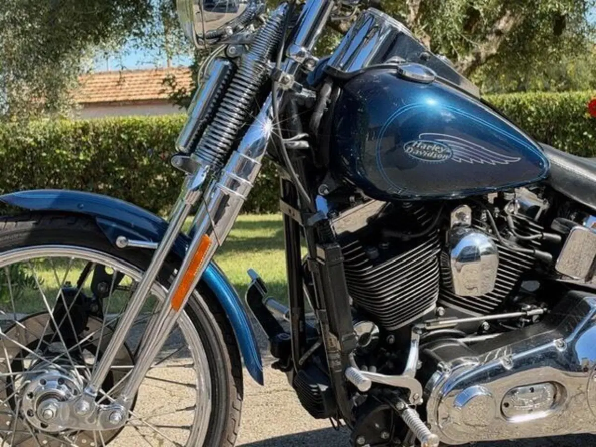 Harley-Davidson 1450 Springer (2001 - 03) - FXSTS (19)