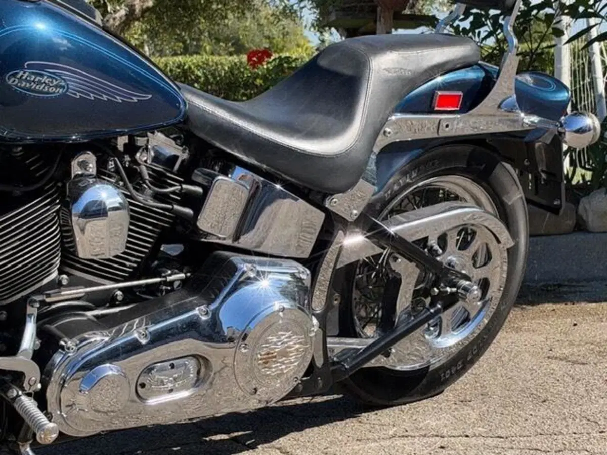 Harley-Davidson 1450 Springer (2001 - 03) - FXSTS (20)