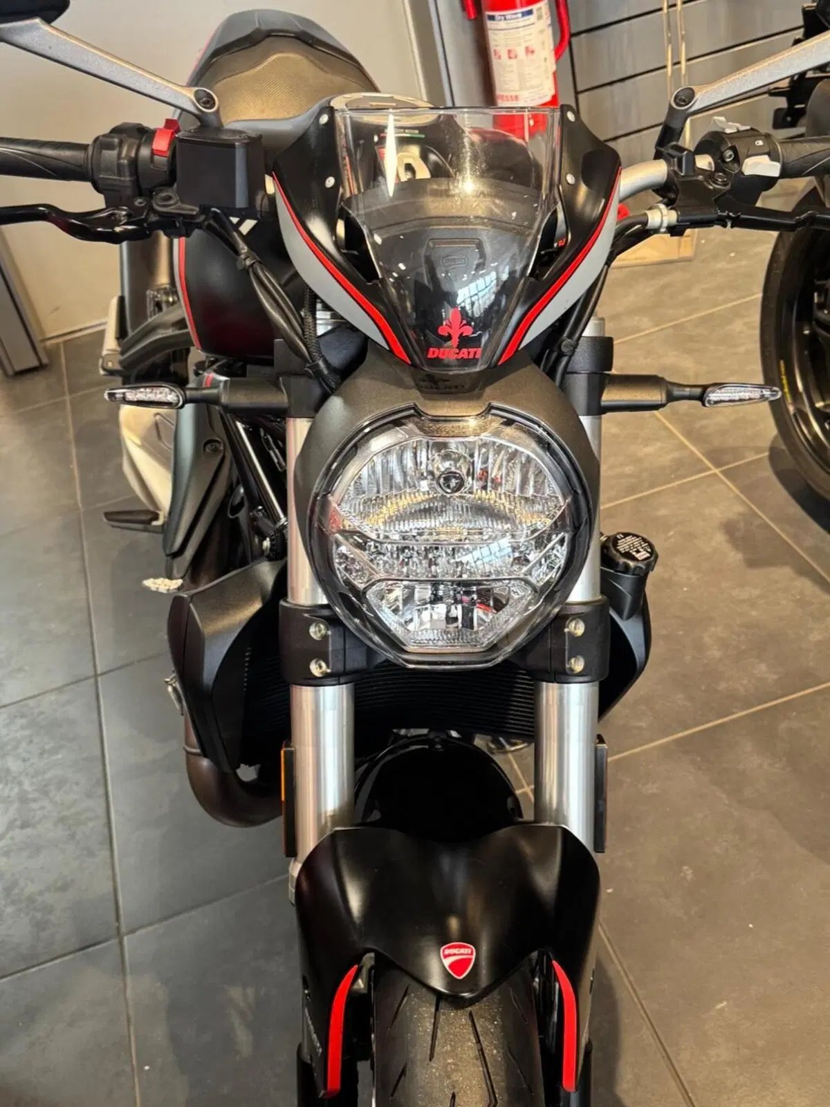Ducati Monster 821 Stealth (2019 - 20) (9)