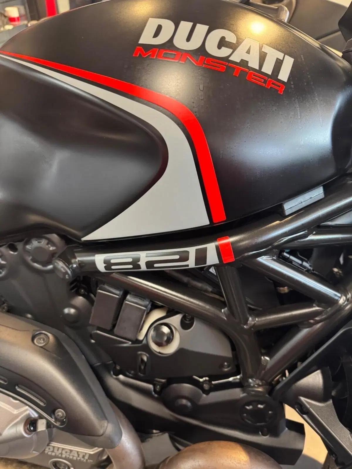 Ducati Monster 821 Stealth (2019 - 20) (16)