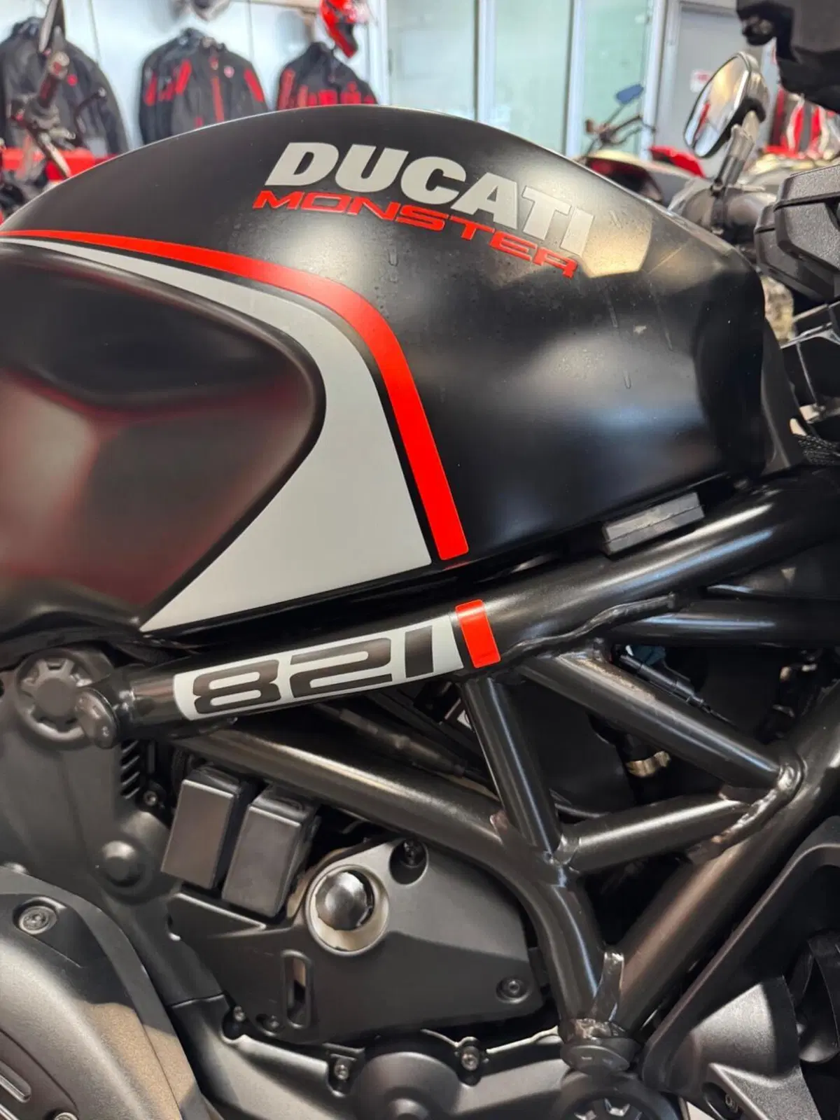 Ducati Monster 821 Stealth (2019 - 20) (10)
