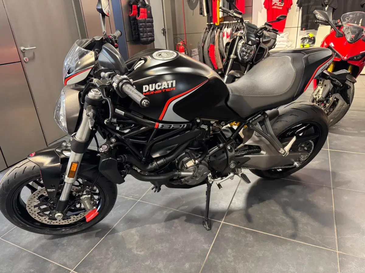 Ducati Monster 821 Stealth (2019 - 20) (2)