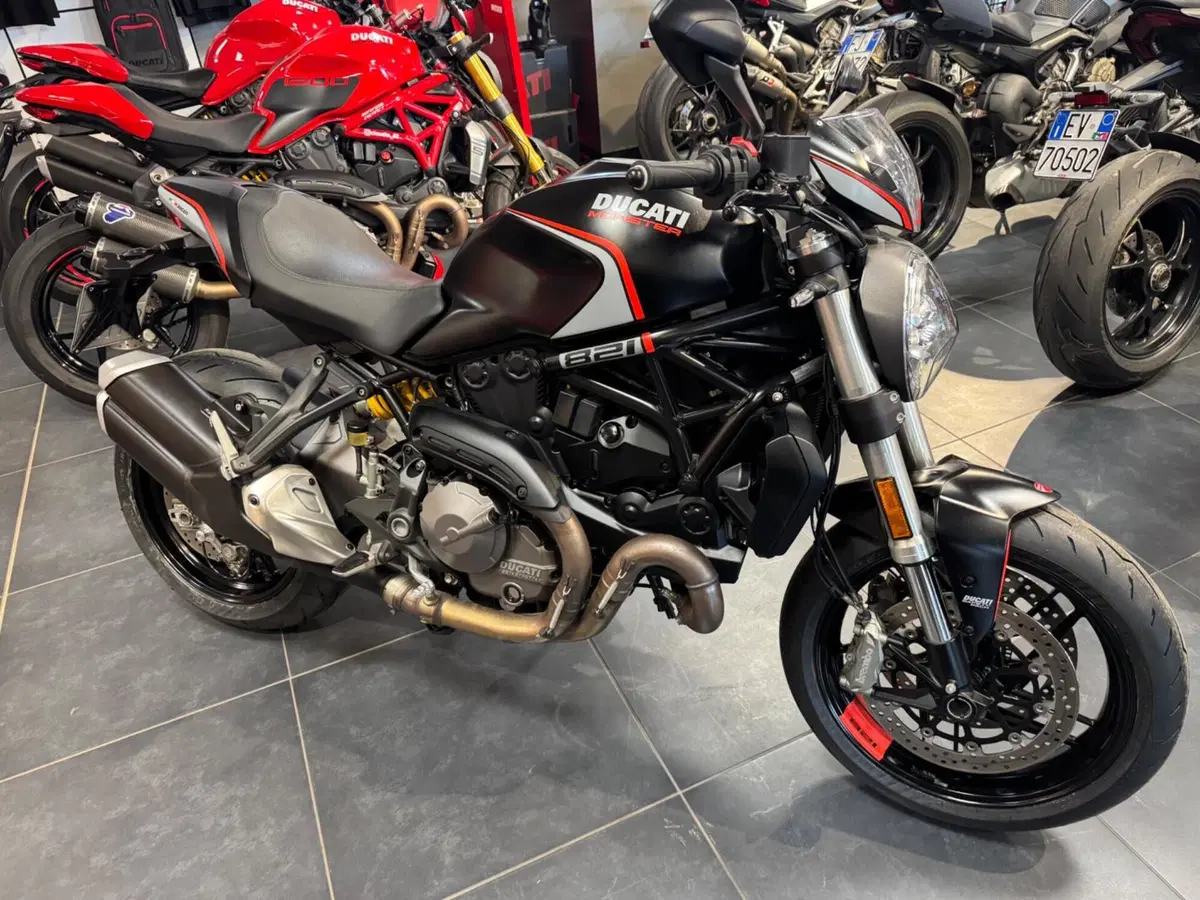 Ducati Monster 821 Stealth (2019 - 20)