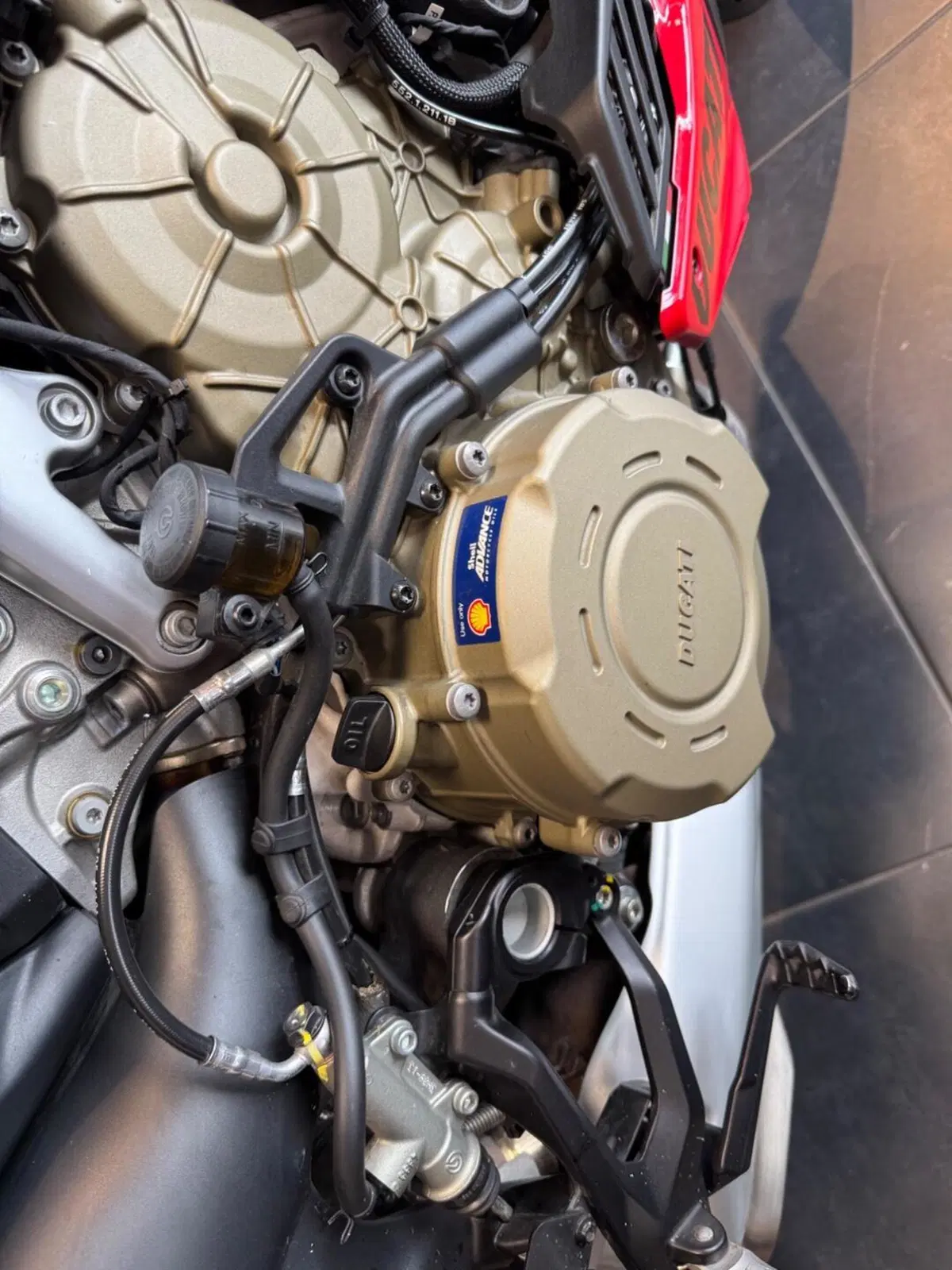 Ducati Streetfighter V4 (2023 - 24) (14)