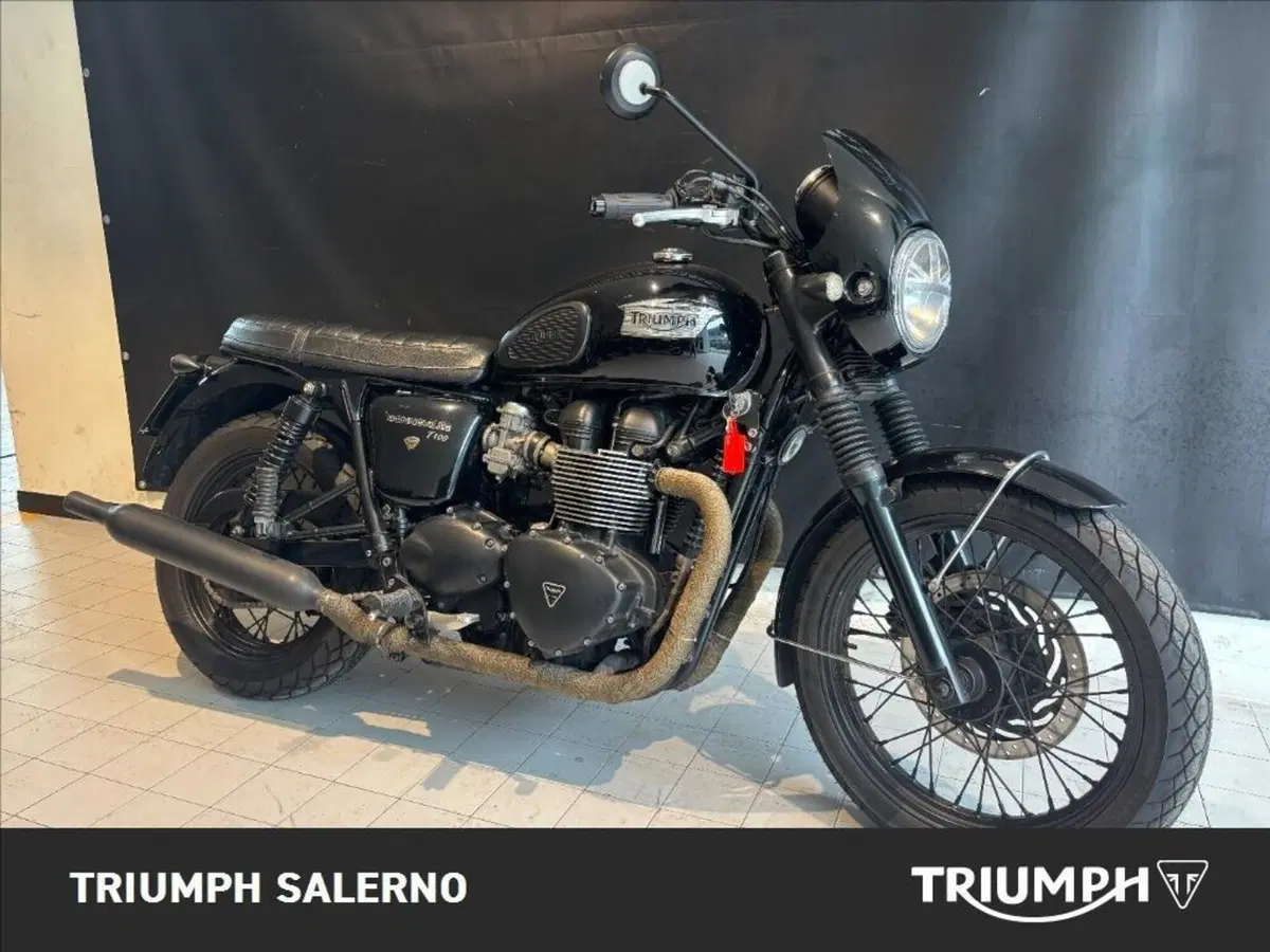 Triumph Bonneville T100 (2008 - 16) (2)