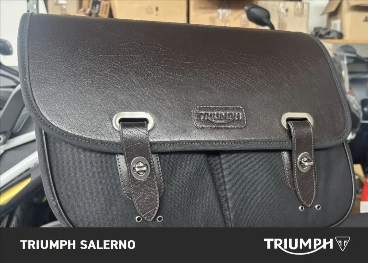 Triumph Bonneville T100 (2008 - 16) (9)