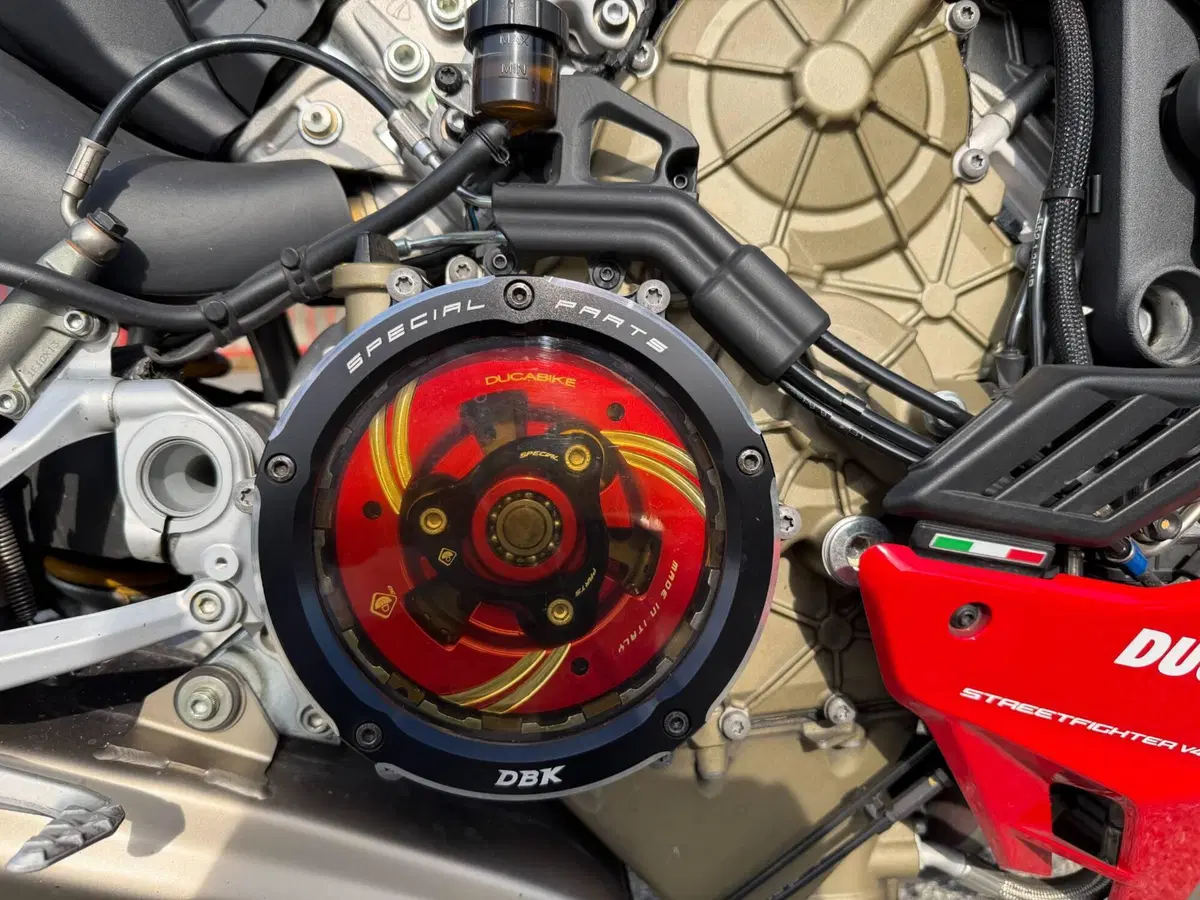 Ducati Streetfighter V4 1100 (2021 - 22) (9)