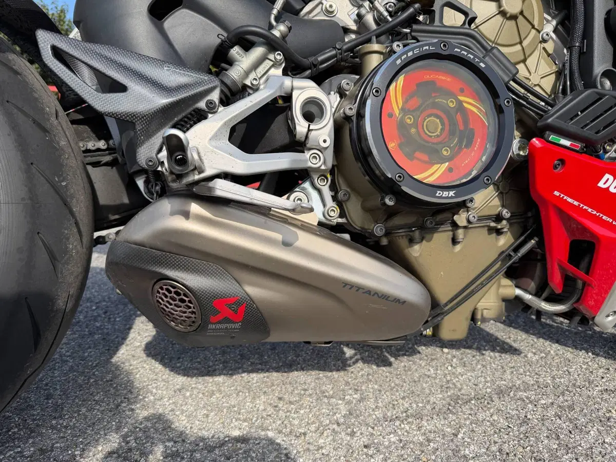 Ducati Streetfighter V4 1100 (2021 - 22) (10)