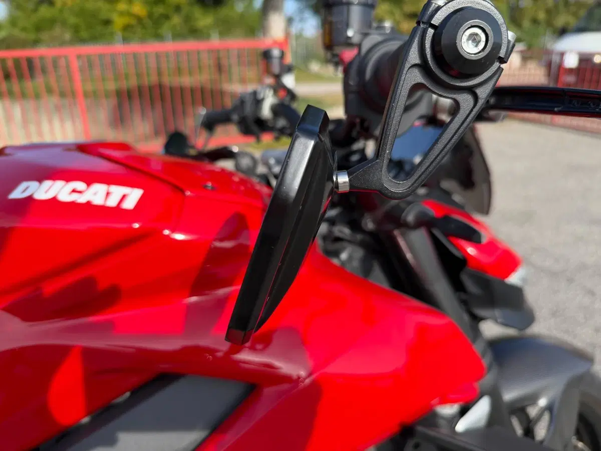 Ducati Streetfighter V4 1100 (2021 - 22) (15)