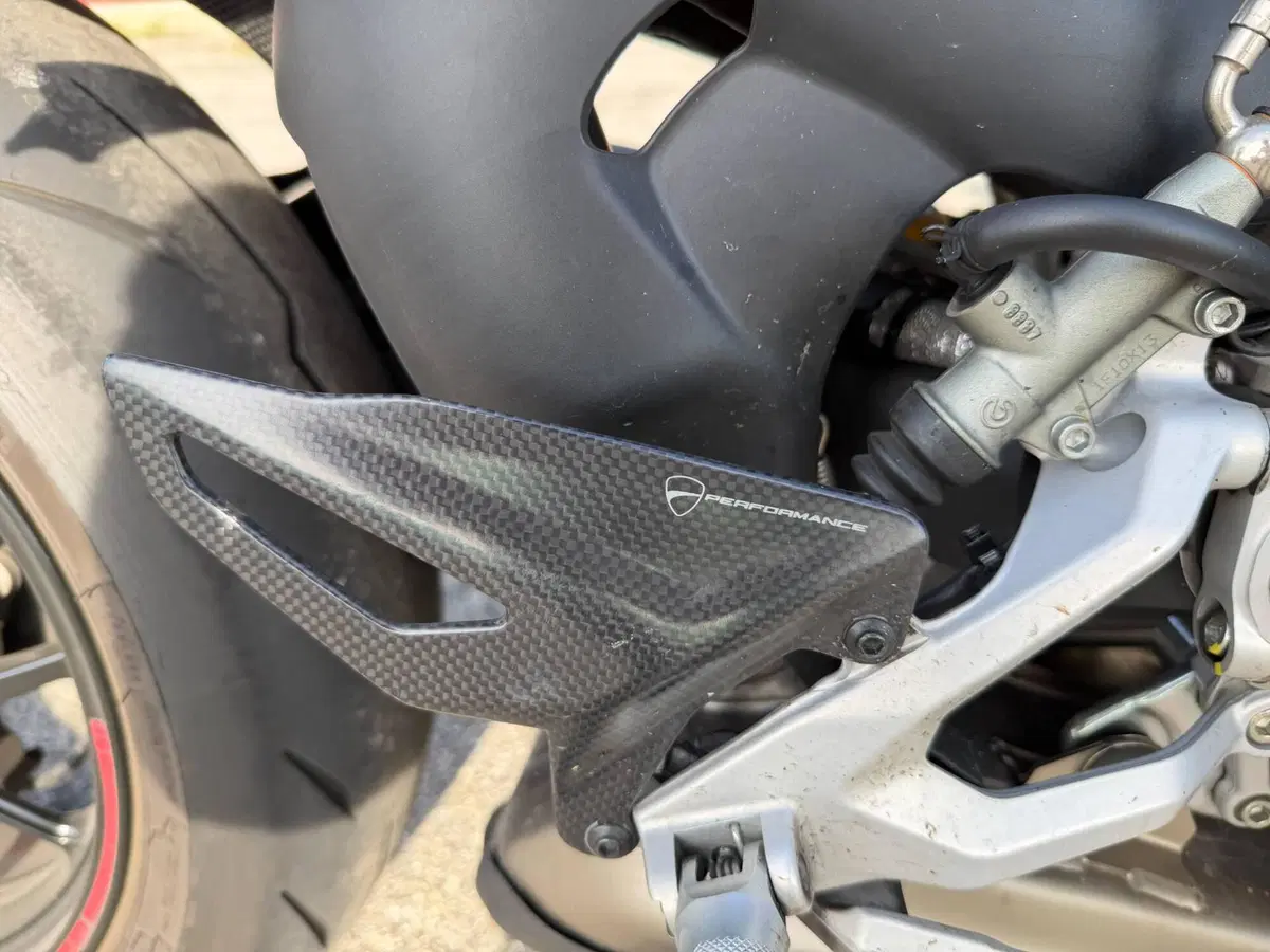 Ducati Streetfighter V4 1100 (2021 - 22) (17)