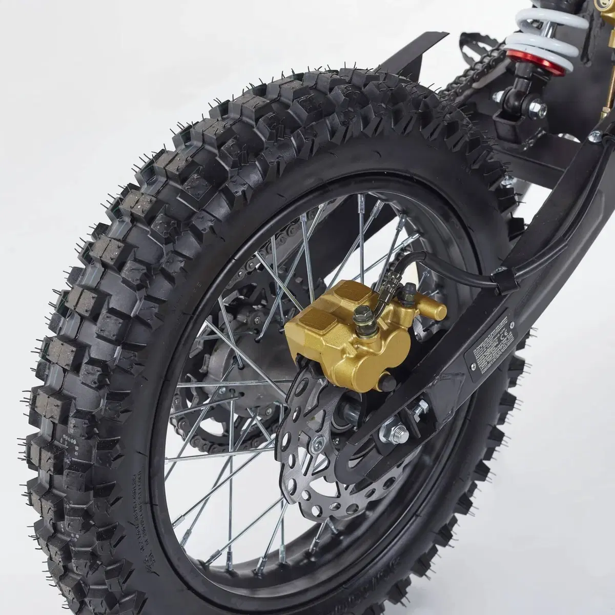  Altre moto o tipologie Pitbike (7)