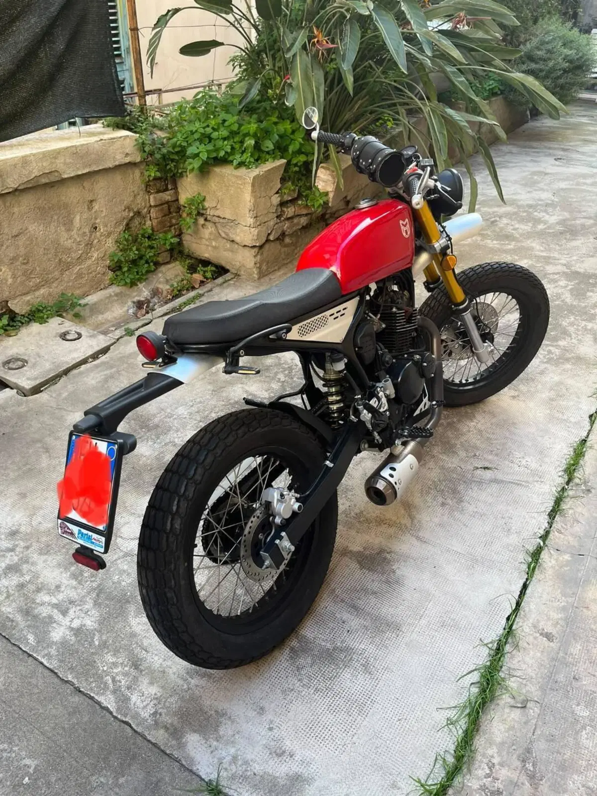 Mutt Motorcycles Razorback 125 (2021 - 25) (6)
