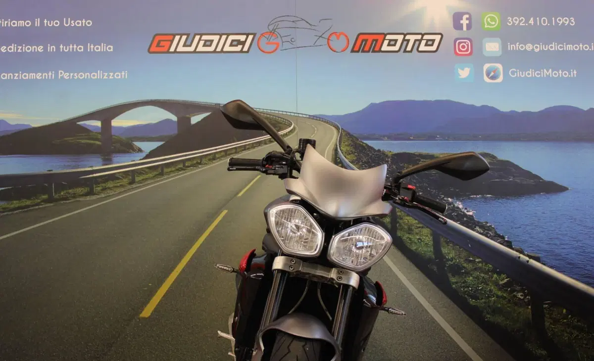 Triumph Street Triple R (2013 - 14) (9)
