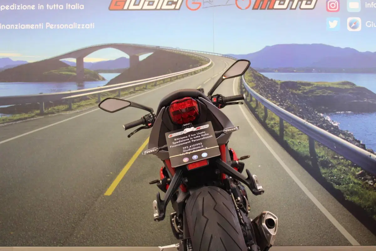 Triumph Street Triple R (2013 - 14) (16)
