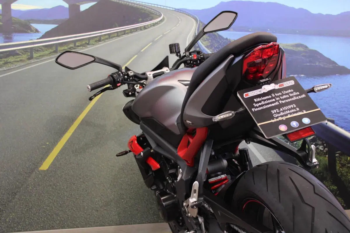 Triumph Street Triple R (2013 - 14) (17)