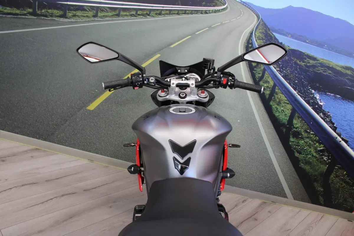 Triumph Street Triple R (2013 - 14) (20)