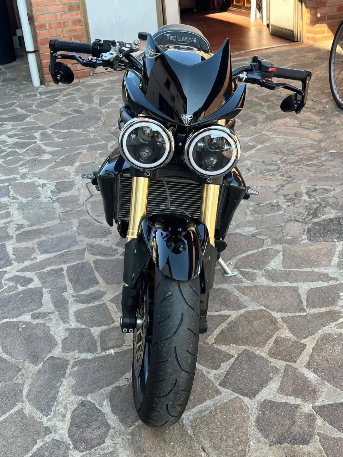 Triumph Speed Triple 1050 (2005 - 11) (2)