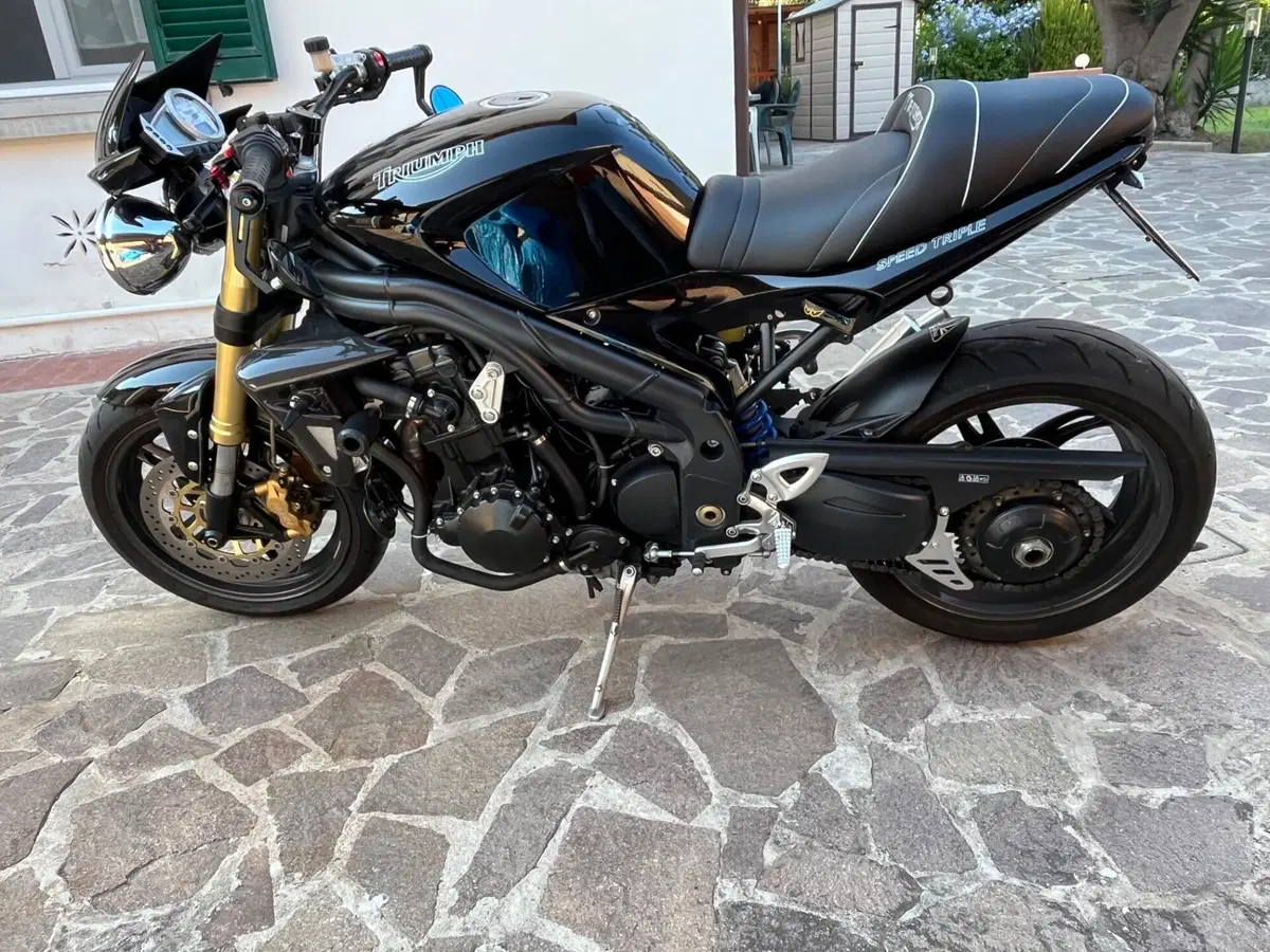 Triumph Speed Triple 1050 (2005 - 11) (3)