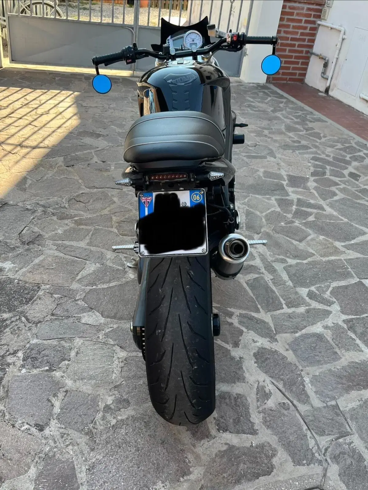 Triumph Speed Triple 1050 (2005 - 11) (4)