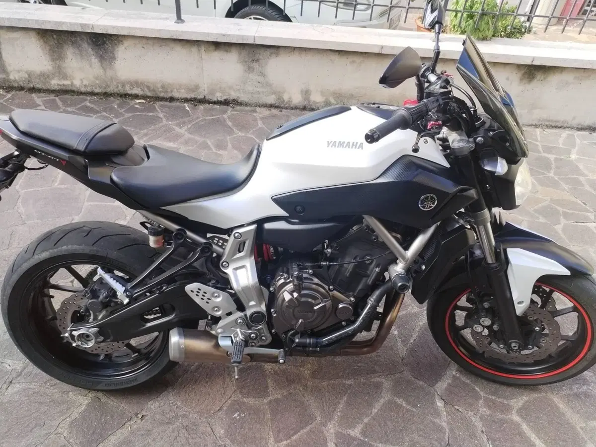 Yamaha MT-07 (2014 - 16) (5)