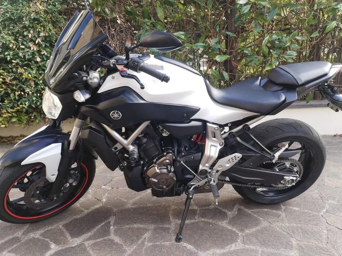 Yamaha MT-07 (2014 - 16) (8)