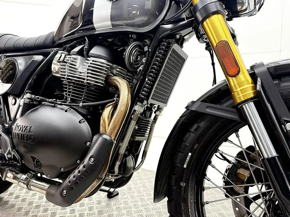 Royal Enfield Bear 650 (2025 - 26) (10)