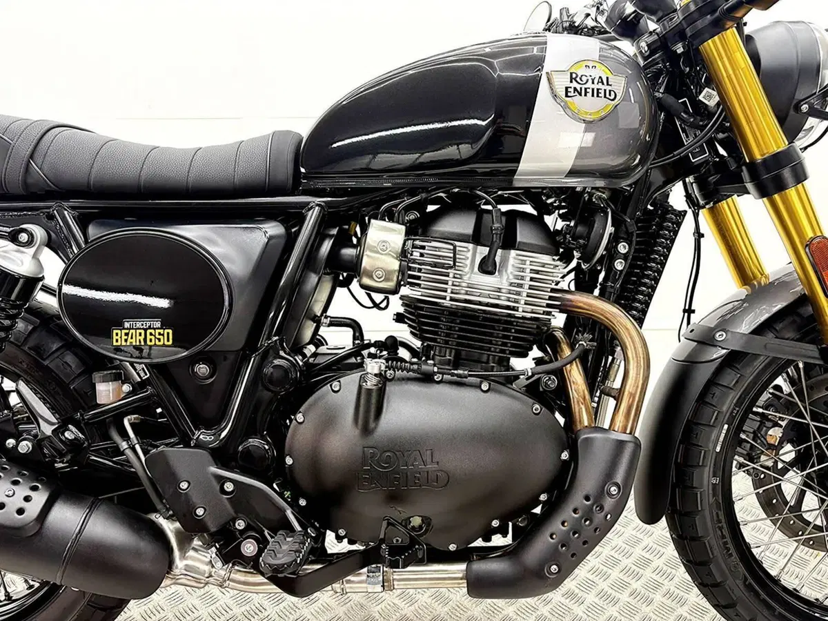 Royal Enfield Bear 650 (2025 - 26) (8)