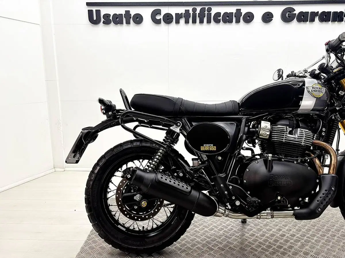 Royal Enfield Bear 650 (2025 - 26) (7)
