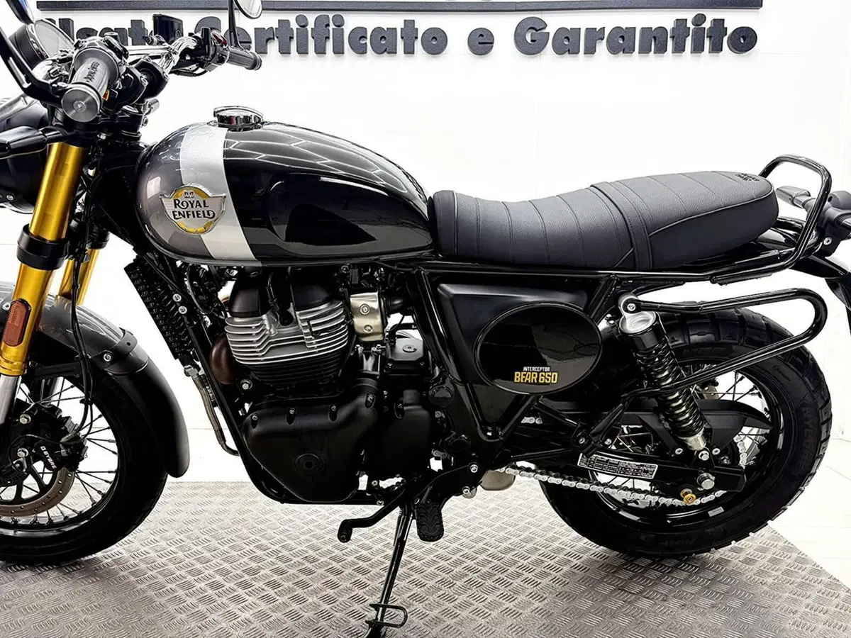 Royal Enfield Bear 650 (2025 - 26) (16)