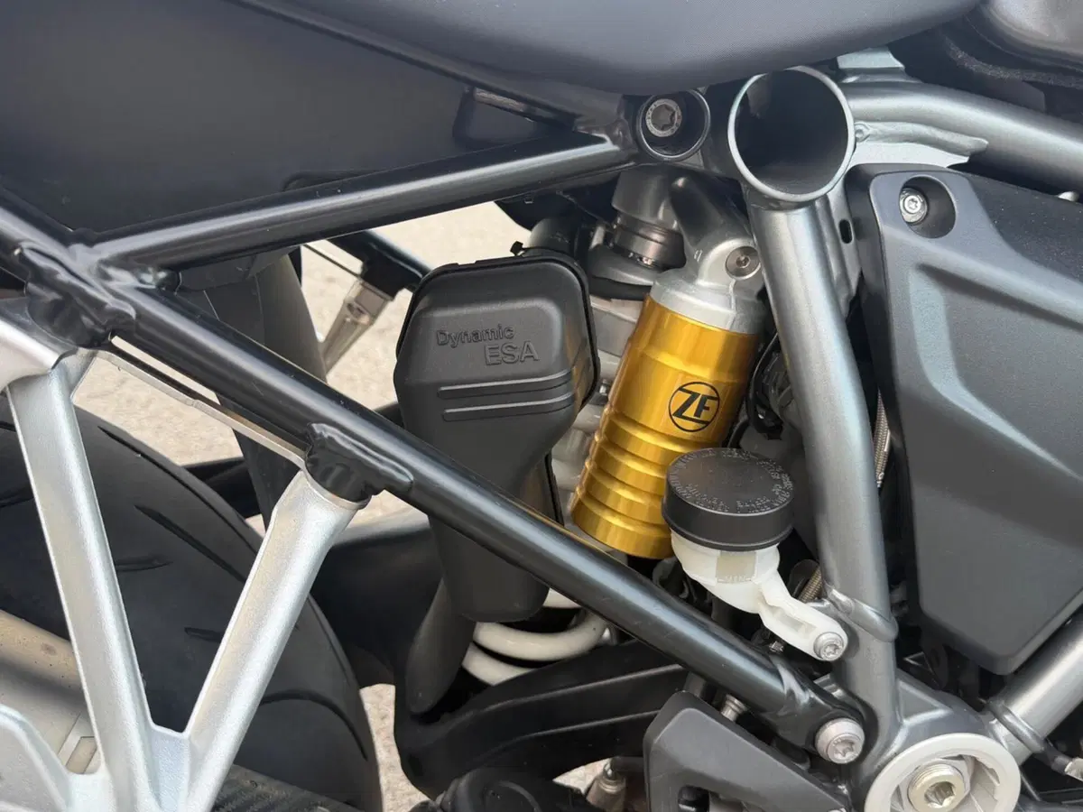 Bmw R 1250 GS Adventure (2021 - 24) (12)