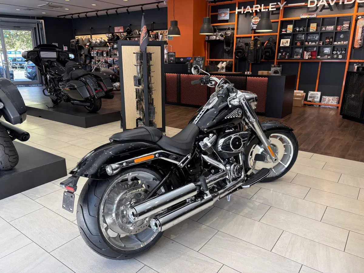 Harley-Davidson Fat Boy 117 (2025 - 26) (3)