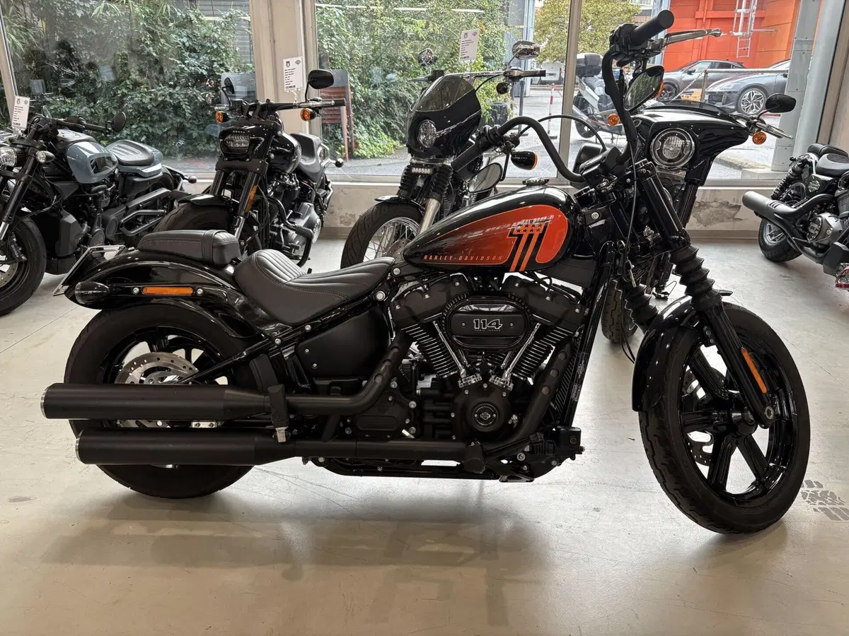 Harley-Davidson Street Bob 114 (2021 - 24)